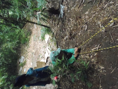 PA010099.JPG