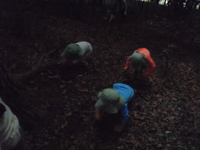 PA010113.JPG