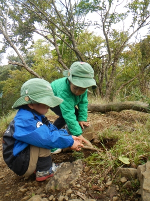DSCN0366.JPG