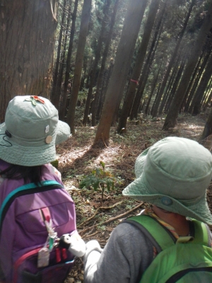 DSCN0402.JPG