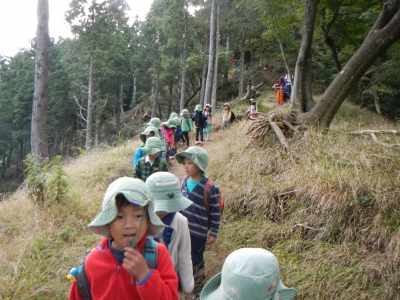 DSCN0408.JPG