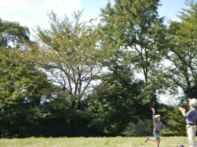 DSCN0091.JPG