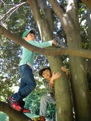 DSCN0158.JPG