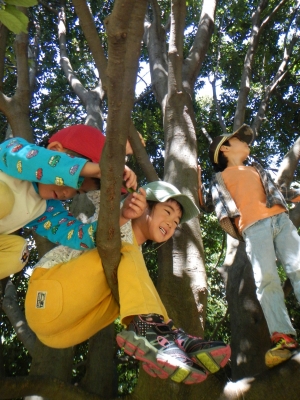 DSCN0170.JPG