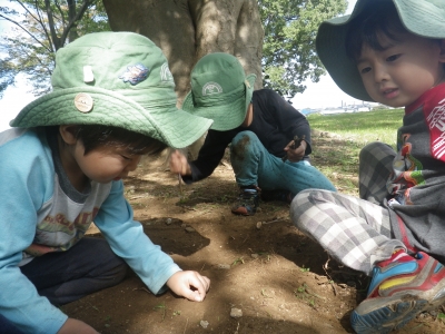 IMGP4728.JPG