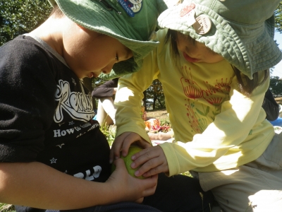 IMGP4742.JPG