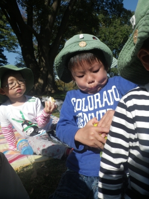 IMGP4750.JPG