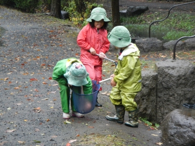 DSCN0001.JPG