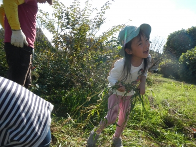 DSCN0034.JPG