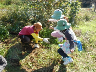 DSCN0035.JPG