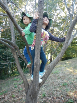 DSCN0046.JPG