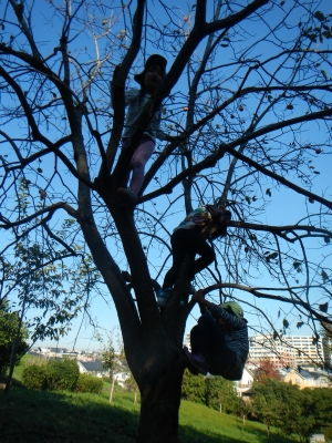 DSCN0050.JPG