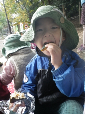 IMGP7808.JPG