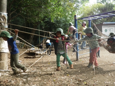 IMGP7831.JPG