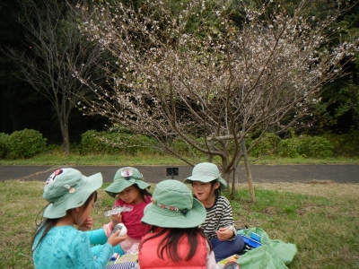 DSCN0026.JPG