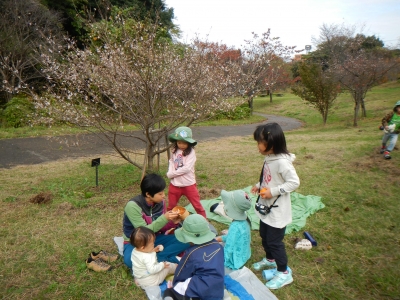 DSCN0031.JPG
