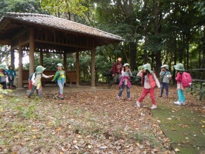 DSCN0047.JPG
