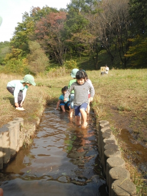 DSCN0063.JPG