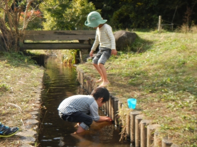 DSCN0065.JPG
