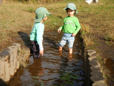 DSCN0066.JPG