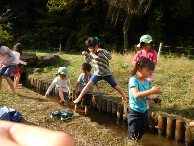 DSCN0071.JPG
