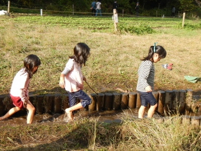 DSCN0091.JPG