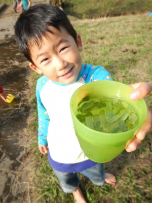 DSCN0110.JPG