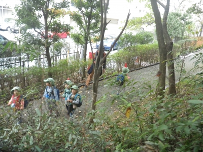 IMGP4896.JPG