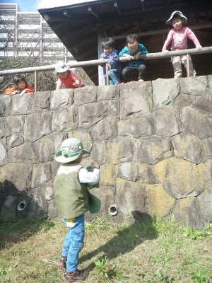 IMGP4911.JPG