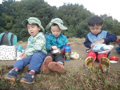 IMGP4925.JPG