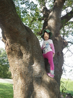 IMGP7880.JPG