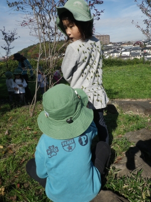 IMGP7905.JPG