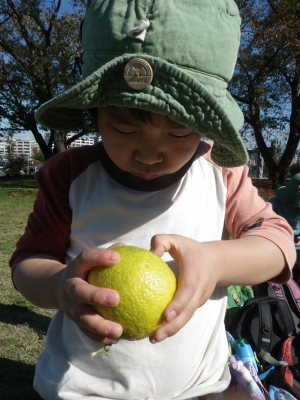 IMGP7906.JPG