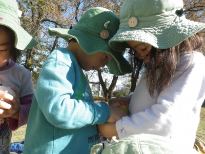 IMGP7909.JPG