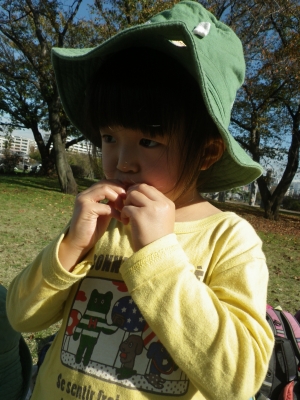 IMGP7914.JPG