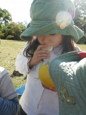 IMGP7919.JPG