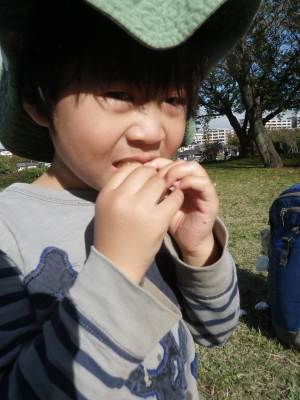 IMGP7920.JPG