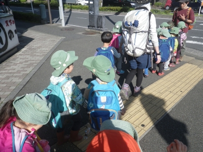 IMGP5027.JPG