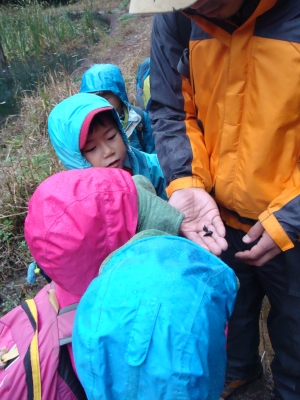 DSC03888.JPG