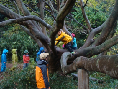 DSC03906.JPG