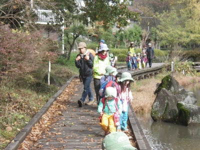 IMGP5191.JPG