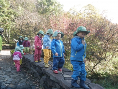 IMGP5214.JPG