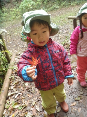 IMGP5228.JPG