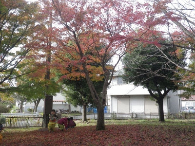 IMGP5258.JPG