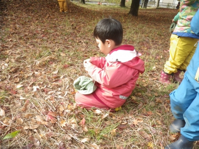 IMGP5260.JPG