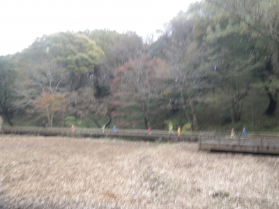 IMGP5262.JPG