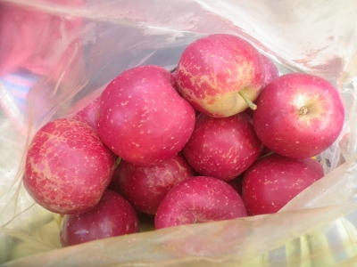 IMGP5264.JPG
