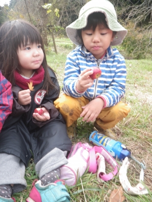 IMGP5268.JPG