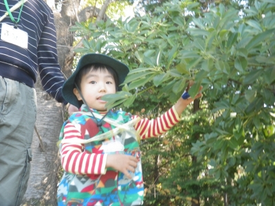 IMGP5360.JPG