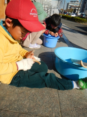 DSCN0307.JPG
